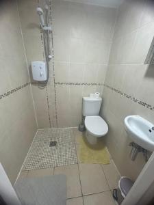 a bathroom with a toilet and a sink at Acorn Apartment in Dufftown