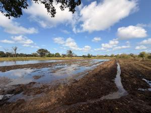 a muddy field with a blue sky and clouds at Emerald Hotel Sigiriya in Dambulla