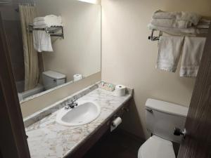 a bathroom with a sink and a toilet and a mirror at Cataline Motor Inn in Fraser Lake