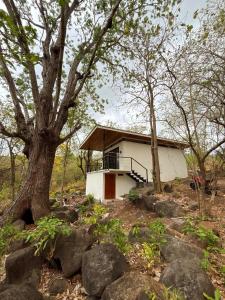 a small house in the middle of some trees at Calma Ometepe in Santa Cruz