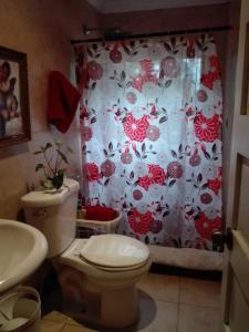 a bathroom with a toilet and a shower curtain at El Nido Cerro Azul in Cerro Azul +51 photos