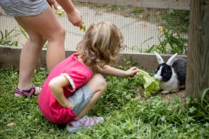 a little girl is feeding a bunny lettuce at Smileys Kinderhotel in Trebesing
