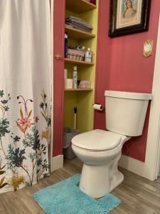 a bathroom with a toilet and a shower curtain at Poppy's Place in Chanute +90 photos