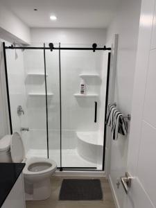 a bathroom with a glass shower with a toilet at Granite Grove Suite in Winnipeg