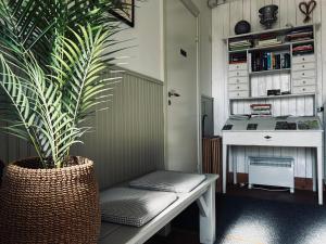 a potted plant sitting on a bench in a kitchen at Mellby 11 Bed & Breakfast in Kivik