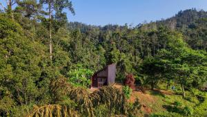 a small building in the middle of a forest at Galactic Glow Villa & Resort in Deniyaya +20 photos