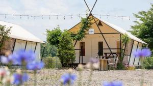 a yellow house with purple flowers in front of it at Chaesonghwa Glamping in Yeongcheon in Yeongcheon