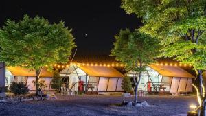 a row of tents with lights and trees at night at Chaesonghwa Glamping in Yeongcheon in Yeongcheon