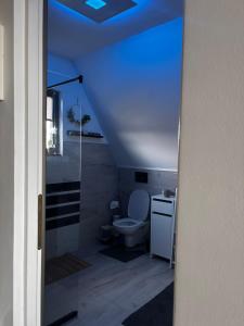 a bathroom with a toilet and a blue ceiling at LAKEVIEW A-frame ESCAPE in Tisa