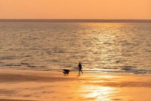 Gallery image of Seaside Escape - 1BR Hideaway in Fannie Bay +21 photos
