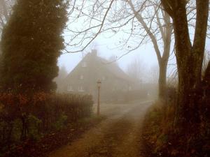 Paesaggio naturale nelle vicinanze del bed & breakfast