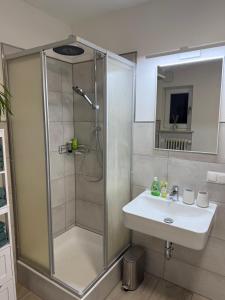 a bathroom with a shower and a sink at Ferienwohnung im Grünen in Gößweinstein +20 photos