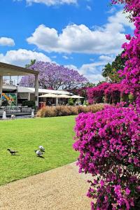 two birds sitting in a park with purple flowers at 2bedrm unit next to southbank in Brisbane