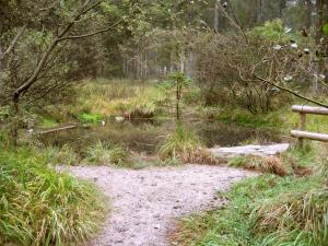 Paesaggio naturale nelle vicinanze del bed & breakfast