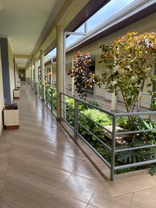 a hallway in a building with a plant at Lake Naivasha Lazarus Lodge in Naivasha