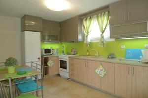Kuchyň nebo kuchyňský kout v ubytování Excellent Villa
