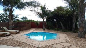a swimming pool in a yard with palm trees at Colchester Suites - Travel Addo Group in Cannonvale