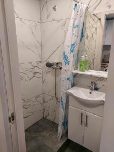 a bathroom with a sink and a shower at Studio Room in Chişinău