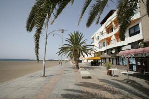 a street with palm trees and a building on the beach at Apartamento Atis Tirma in Gran Tarajal