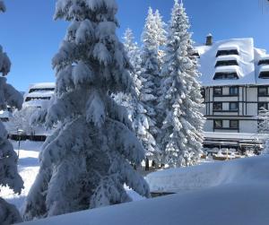 a snow covered pine tree in front of a building at Apartments Konaci BOOKING in Kopaonik +10 photos