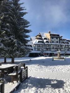 a snow covered park with a pine tree and a building at Apartments Konaci BOOKING in Kopaonik