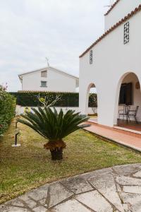a plant in the yard of a white house at Villa Penelope in Terracina