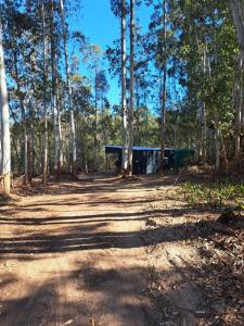 a dirt road in the middle of a forest at Zest Forest Retreat in Great Brak River