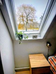 ein Oberlicht in einem Raum mit einem Tisch und einem Fenster in der Unterkunft Tåning Bnb in Skanderborg