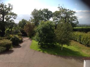 un camino sinuoso con árboles, césped y un campo en Crannaford Cottage, en Broad Clyst