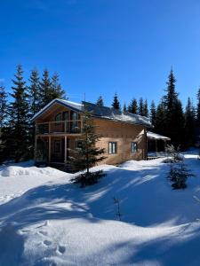 a log cabin in the snow with footprints in the snow at Cranberry Cabin Buscat in Muntele Băişorii