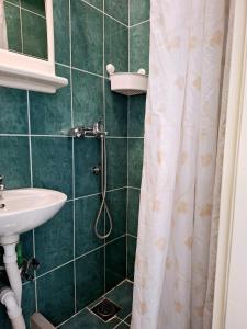 a bathroom with a shower curtain and a sink at Apartments Kaludjerovic in Herceg-Novi +39 photos