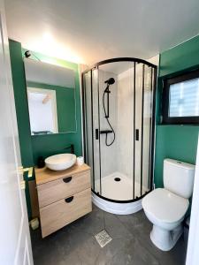a bathroom with a shower and a toilet and a sink at Cranberry Cabin Buscat in Muntele Băişorii