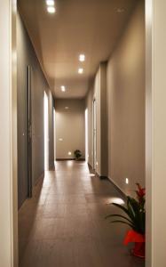 a hallway of an office building with a plant at Bed In Centro in Naples