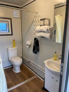 a small bathroom with a toilet and a sink at Stunning birch tree Lodge in Otley