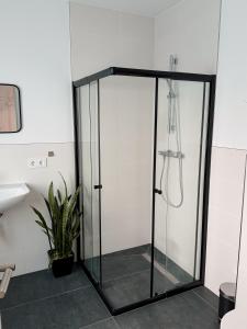 a shower stall in a bathroom with a plant at Comfort Apartment Midami in Schwanau
