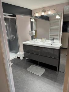 a bathroom with a sink and a shower and a mirror at Résidence du Champ Lamet in Pont-du-Château +47 photos