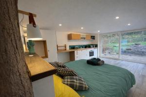 a bedroom with a large green bed in a kitchen at Casa Mypi in Reinhardsmunster