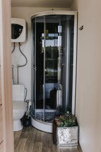 a bathroom with a shower and a toilet in it at Ambro Krasts in Maskava +46 photos