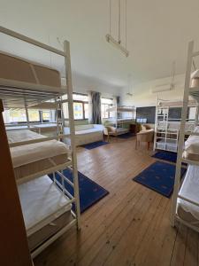 a dorm room with several bunk beds in it at Lagartoca in Vilar de Amargo +30 photos