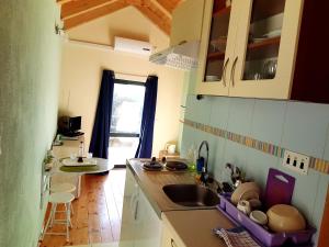 Gallery image of Cottage Melita the Apartment for Animal Lovers in Babino Polje
