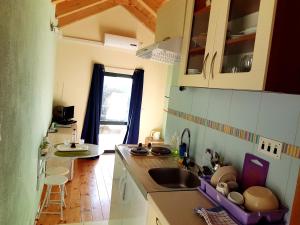 Kuchyň nebo kuchyňský kout v ubytování Cottage Melita the Apartment for Animal Lovers
