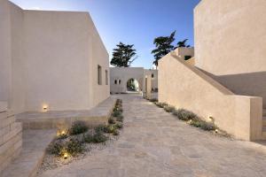a courtyard of a house with a stone walkway at Kali Naousa in Naousa