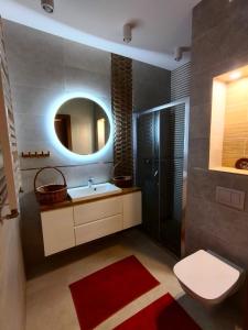 a bathroom with a sink and a toilet and a mirror at Chata na Psiaku in Wrocław