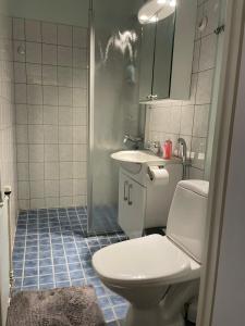 a bathroom with a toilet and a sink and a shower at Apartment with a wonderful location! in Lappeenranta