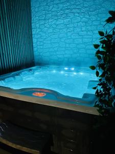 a jacuzzi tub in a room with a blue ceiling at La Longère du Menuisier : Spa-Châteaux-Beauval in Romorantin