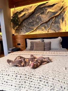 a large brown dog laying on a bed at Шале Ротило in Krivopolʼye