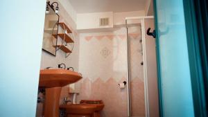a bathroom with a shower and a toilet and a sink at Camera Alcova in giardino in Cellino Attanasio