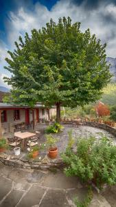 un gran árbol en un patio con una mesa de picnic en Papigo Astraka II en Papigo