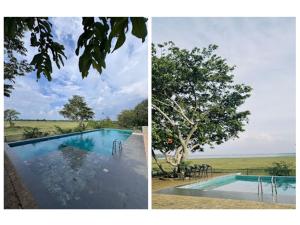 two pictures of a swimming pool with a tree at Yaazoraa Anuradhapura in Maha Kalattewa