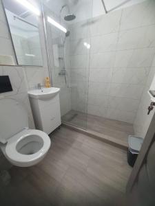 a bathroom with a toilet and a shower and a sink at Constantin Rooms in Eforie Nord